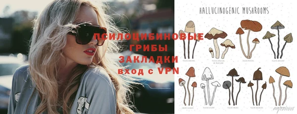 твердый Армянск